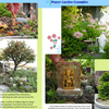 Simple Creative Ways to Make Awesome Miniature Meditation Gardens, 2.0 - PDF eBook