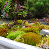 Simple Creative Ways to Make Awesome Miniature Meditation Gardens, 2.0 - PDF eBook