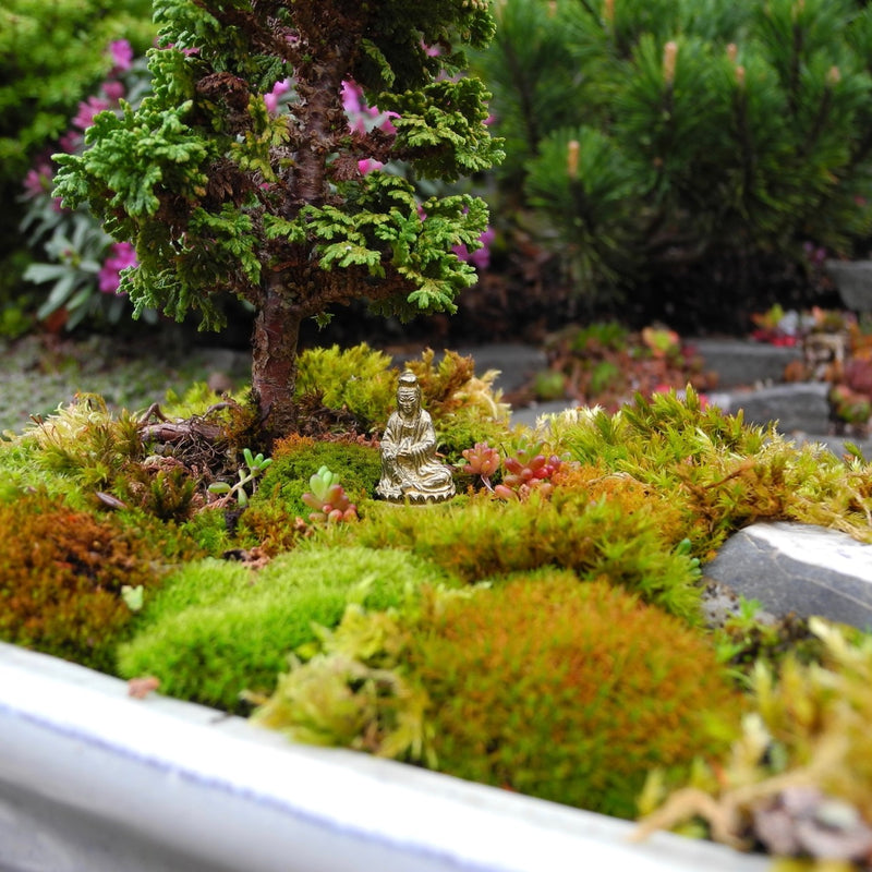 Simple Creative Ways to Make Awesome Miniature Meditation Gardens, 2.0 - PDF eBook