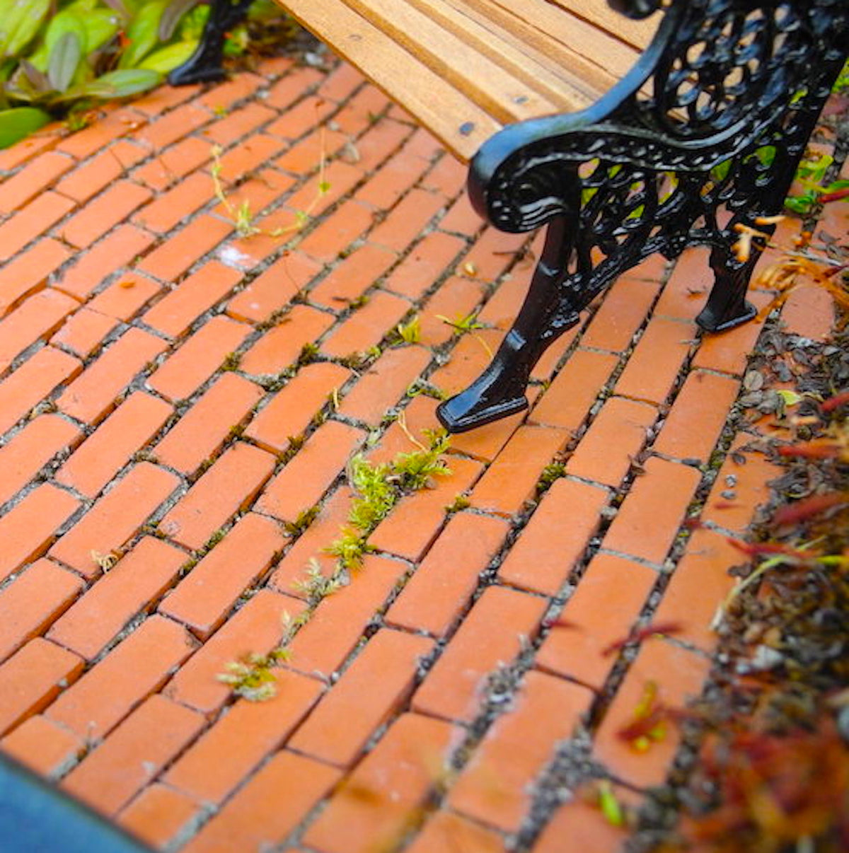 Miniature Brick Sheet, Rectangular