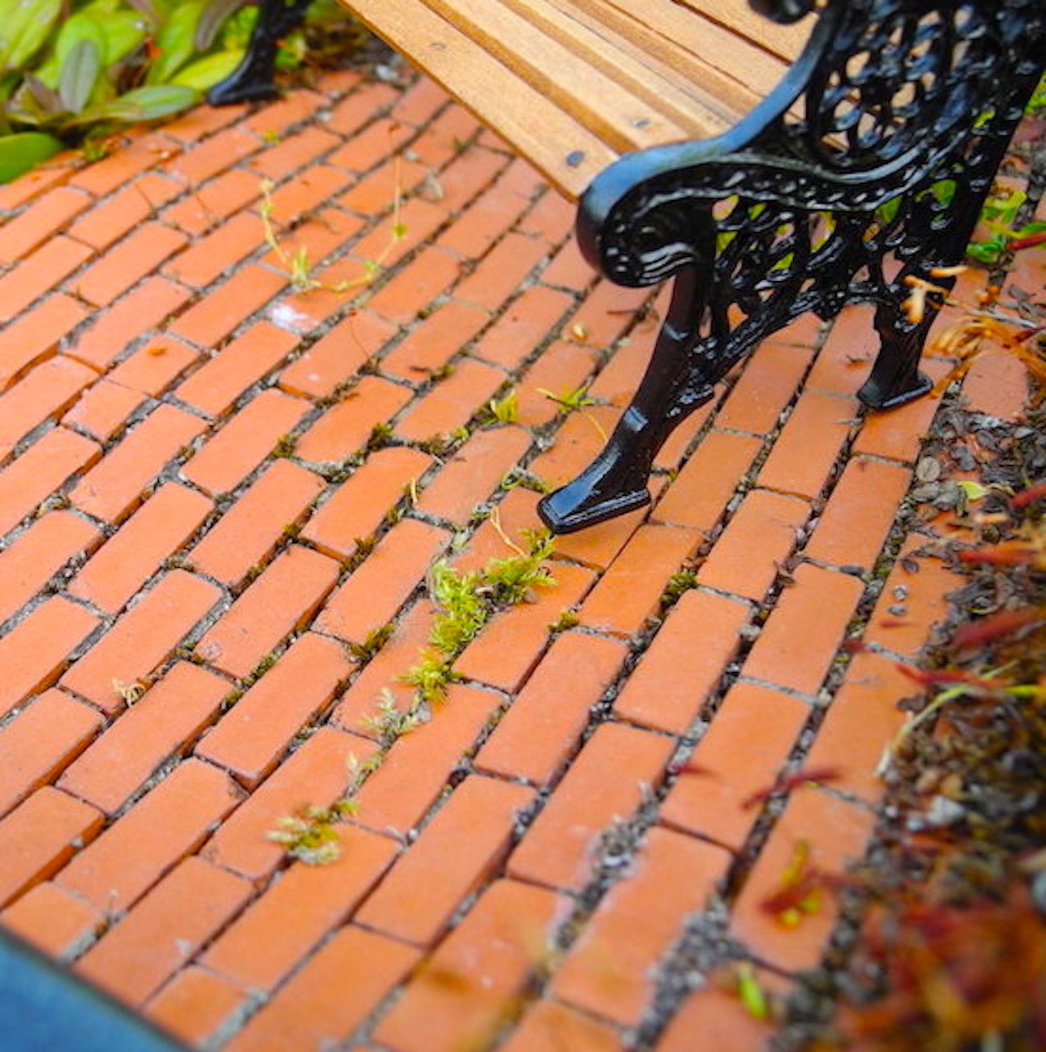 Miniature Brick Sheet, Rectangular