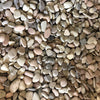 Mini Garden Pebbles, Mother Earth, Tumbled Stone