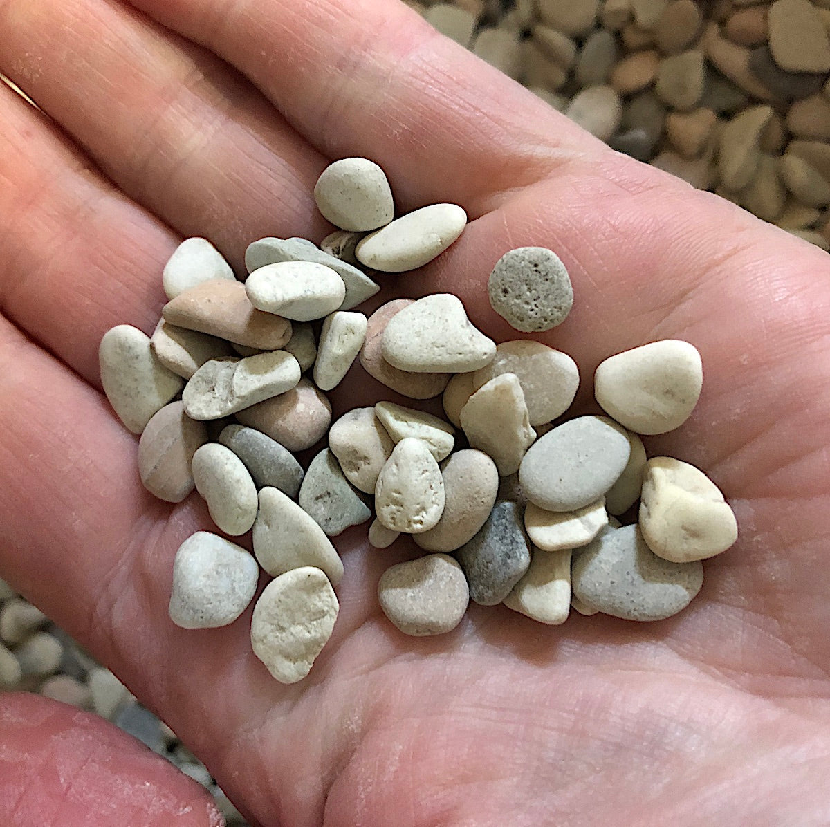 Mini Pebbles River Pebble