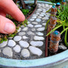 SAMPLE Mini Patio Mix Kit
