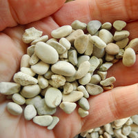 Pebbles, Ivory, Tumbled Stone
