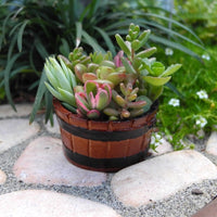 Mini Barrel Planter