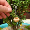 Pretty Terra Cotta Hanging Pot with Hook