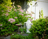 Simple Creative Ways to Make Awesome Miniature Meditation Gardens, 2.0 - PDF eBook