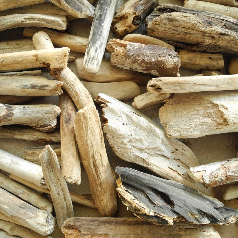 Real Driftwood Logs, Set of 3, Choose Your Scale