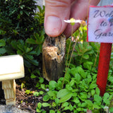 Miniature Driftwood Stump - Large